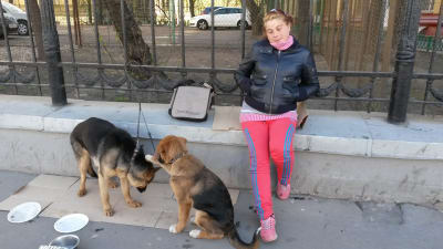 Jana samlar in pengar för att köpa mat till hundar som hon räddat från gatan