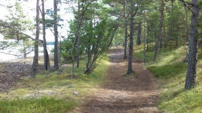 En stig som går genom en skog, Tulluddens naturstig i Hangö.