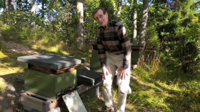 Aimo Nurminen vid en bikupa.