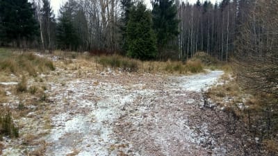 Vandrarens lycka i Borgå.
