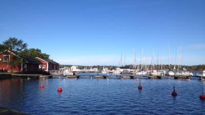 Gästbåtshamnen i Ekenäs fylld med båtar.