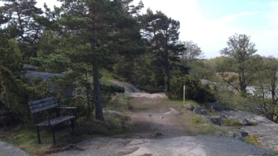 Gammal bänk på Tulluddens naturstig i Hangö