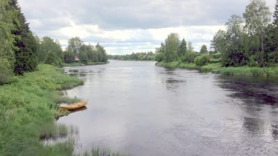 Kyro älv i Storkyro.