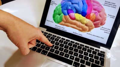 finger som trycker på tangentbord med en hjärna på skärmen