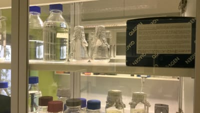 Skåp i ett laboratorium fyllt med flaskor med vätska i.