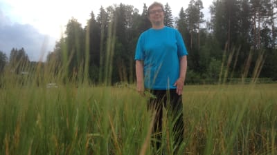 Jordbrukaren Christel Liljeström på jakt efter flyghavre i kornåker