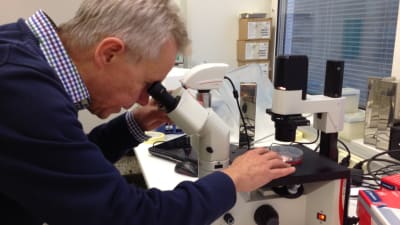John Eriksson, professor i cellbiologi vid ÅA