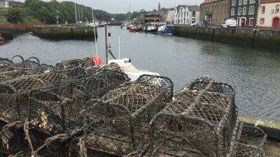 Fiskehamnen i Eyemouth, Skottland.
