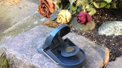 En råttfälla av plast.