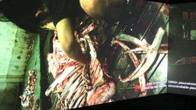 Stillbild från video där man ser ett skelett och inälvor av ett djur.