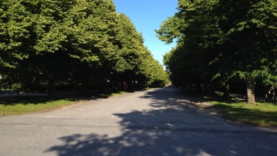 kaskö
