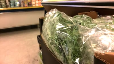 Grön sallat packad i plast. 