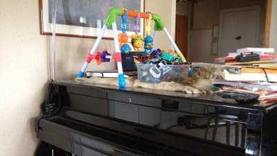 Svart piano i vardagsrum med leksaker
