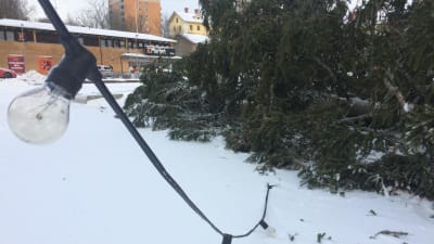 Julgranen på torget i Dalsbruk har blåst omkull i en vinterstorm.
