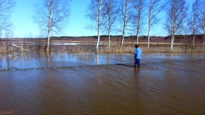 Vattnet på riksväg 8 var stundtals knädjupt