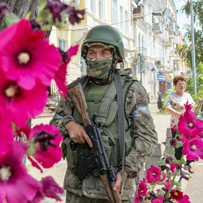 Etualalla on violetteja kukkia. Maastoasussa ja kypärässä oleva sotilas seisoo kadulla rynnäkkökiväärin kanssa kukkien takana. Taustalla kulkee nainen.