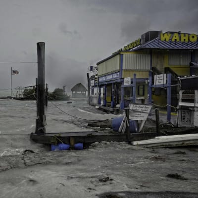 Orkanens första vågor orsakade skador vid Whale harbour i Florida Keys.
