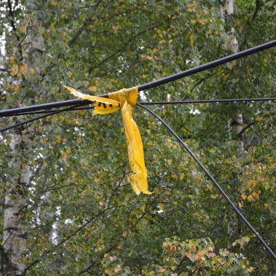 elkablar efter storm i augusti 2017 i Sibbo