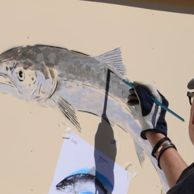 Heikki Kukkonen målar fisk