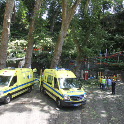 Åtminstone två ambulanser kallades till platsen då ett träd föll under en religiös högtid på Madeira.