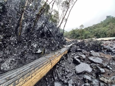 Ett oljerör som läckt olja i regnskogen.