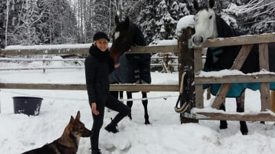 Hästar och hund hos Sofia Kuula.