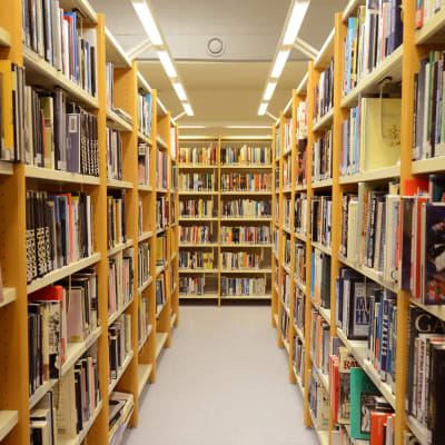 Kirjaston kirjahyllyjä