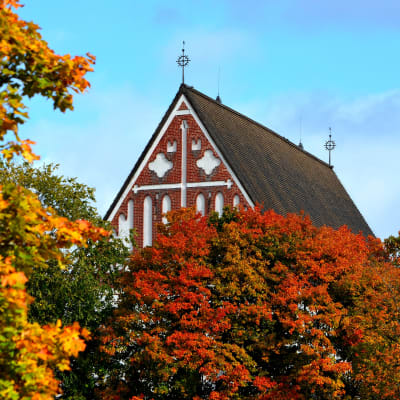 Borgå domkyrka