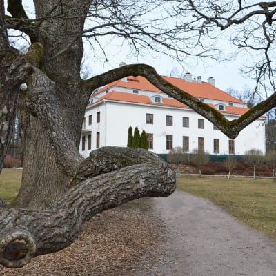 Träskända gård, träskända i esbo 20.3.2015