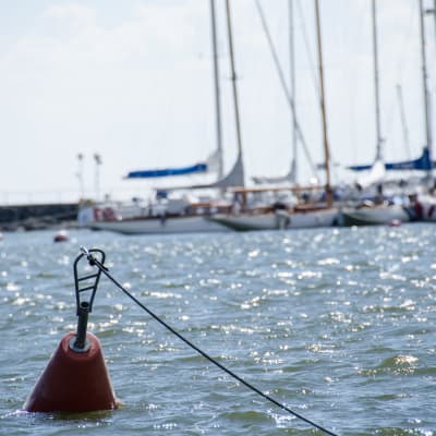En livboj i havet med segelbåtar som bakgrund.