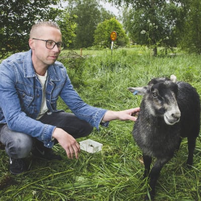 Magnus Hansén och ett får i hagen.