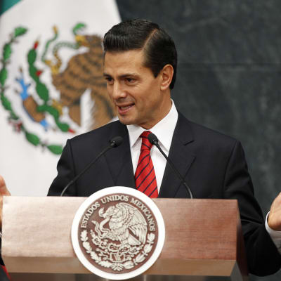 Mexikos president Enrique Peña Nieto säger att han vill förhandla om alla tvistefrågor med USA. Peña Nieto talade till diplomater i presidentens palats Los Pinos, i Mexico city