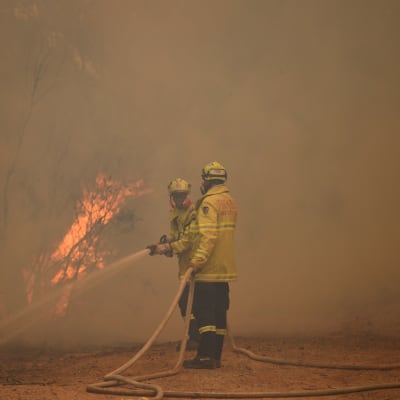 Brandmän släcker skogsbränder i New South Wales, Australien.