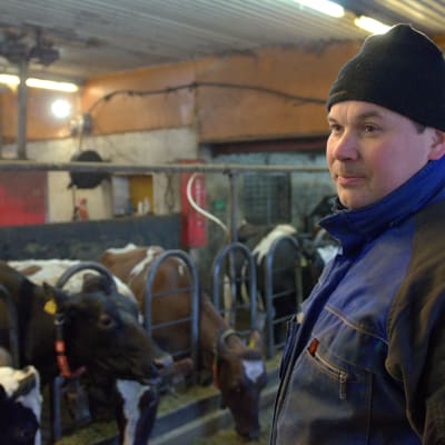 Niclas Sjöskog, mjölkbonde i Lillby, Pedersöre.
