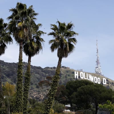 Hollywoodin kyltti Los Angelesin kukkuloilla.