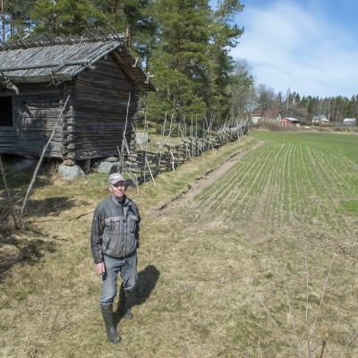 Luomuviljelijä Lauri Takala seisoo pellon laidalla. Taustalla on vanha aitta ja ruispelto. 