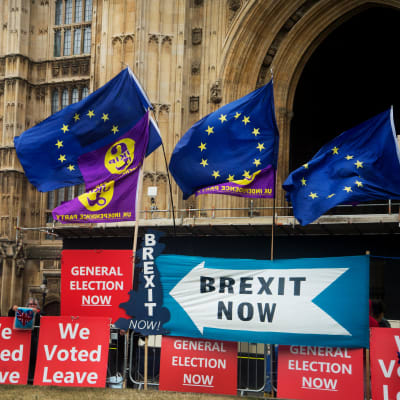 Demonstration för och emot brexit utanför det brittiska parlamentet 9.9.2019
