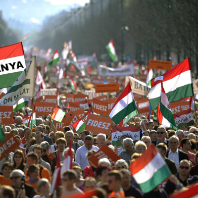 Personer som stöder Fidesz demonstrerar i Budapest