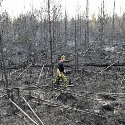 Skogsbranden i Sverige lämnar stor förödelse efter sig