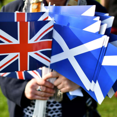En motståndare till Skottlands självständighetsrörelse håller upp flaggor.