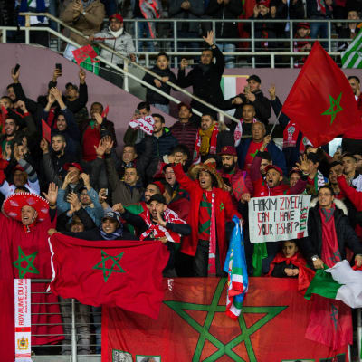 Marockanska fotbollssupportrar.