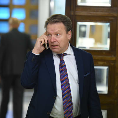 Ordföranden för riksdagens försvarsutskott Ilkka Kanerva