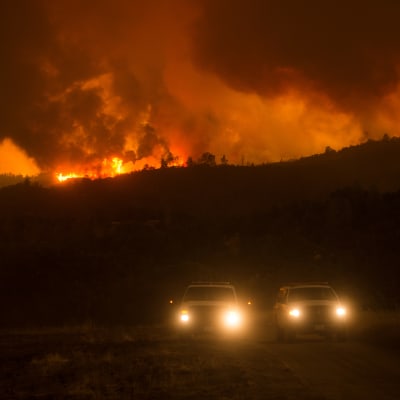 Skogsbränder rasar i Kalifornien.