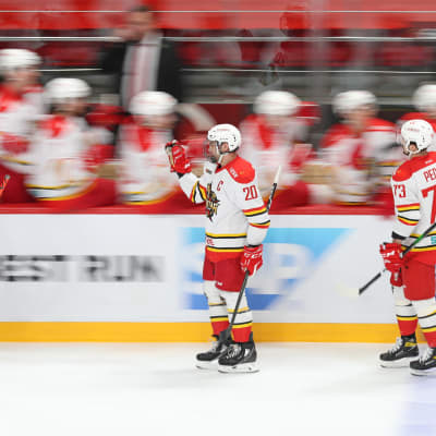 KHL-seura Kunlun Red Starin pelaajat juhlivat maalia vaihtoaition edessä