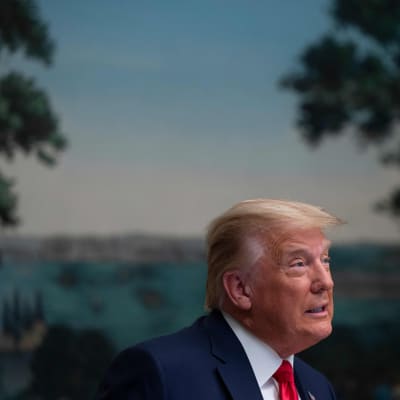 Porträttbild på Donald Trump.
