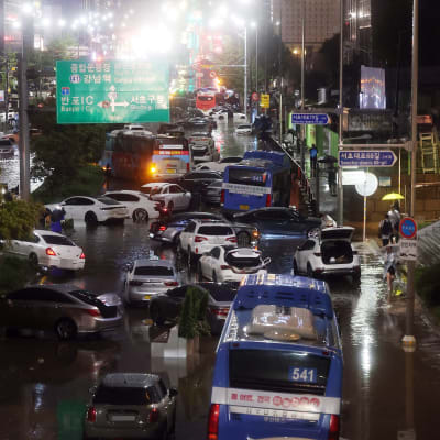 Bilar och bussar står huller om buller i vatten längs en större gata medan regnet fortsätter att ösa ner. Det är mörkt och ljuset från vägbelysning speglar sig i vattnet. På skyltarna står destinationer både på koreanska och med västerländska bokstäver.