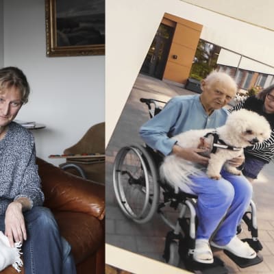 Collage, en kvinna i den vänstra bilden sitter i en soffa och klappar en hund. Hon ser allvarlig ut. På högra sidan ett foto ut ett fotoalbum, på en äldre man i sjukhuskläder som sitter i en rullstol. I famnen har han samma hund.