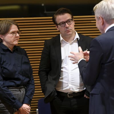 Iiris Suomela, Ville Niinistö, Heidi Hautala ja Pekka Haavisto keskustelevat.