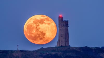 Månen som stiger över Victoria Tower, Castle Hill i Huddersfield 15.04.2022.