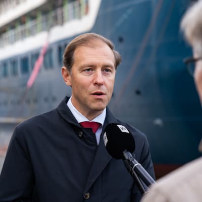 denis manturov